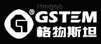 ˹̹GSTEM