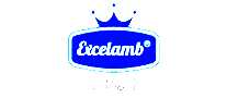 ExcelambʼӤͯ