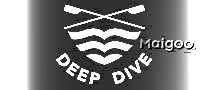 ǱDeepDive