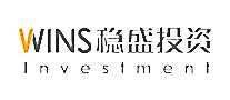 ʢͶWINS