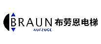 BRAUNͶ