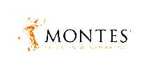 MONTES˹