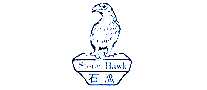 ʯӥStone Hawk