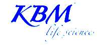 KBM