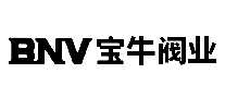ţҵBNV