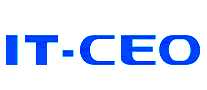 IT CEO