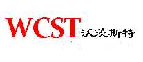 ִ˹WCST