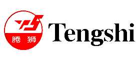 ��ʨTENGSHI
