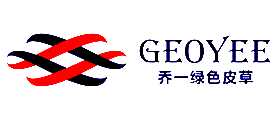 һGEOYEE