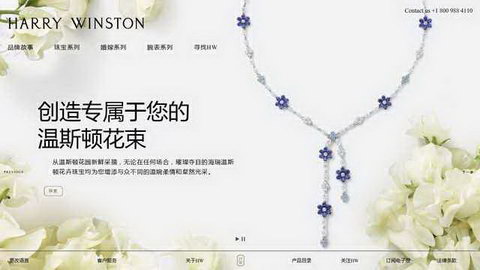 harry winston
